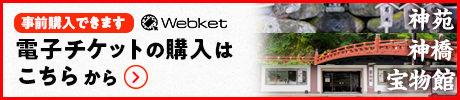 ICOWEB`Pbg